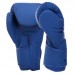 Боксерські рукавиці Fistrage 10 унцій, синій, код: VL-4276_10BL