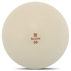 М"яч для пілатесу та йоги Bloom Mini Ball Pilates 30см, білий, код: LB7001-30