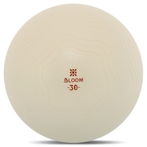 М"яч для пілатесу та йоги Bloom Mini Ball Pilates 30см, білий, код: LB7001-30