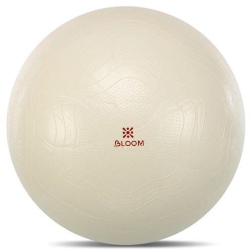 Фітбол м"яч для фітнесу сатин Bloom ø75см, коричневий, код: LB7051-75