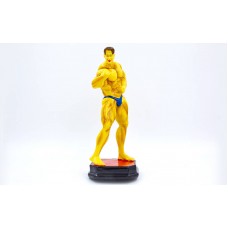 Статуетка нагородна спортивна PlayGame Бодібілдинг, код: C-2244-A8
