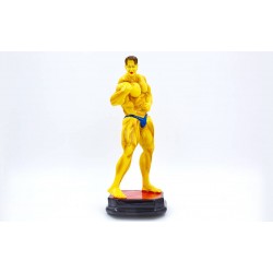 Статуетка нагородна спортивна PlayGame Бодібілдинг, код: C-2244-A8