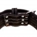 Пояс атлетичний BioGym XL, код: PWL-12028-ХL