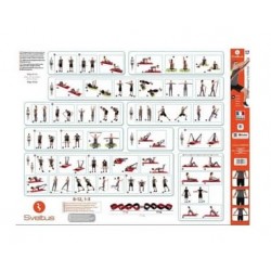 Постер із вправами Sveltus Elastiband, код: SLTS-0178