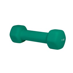 Гантель неопренова Stein 1 кг, зелений, код: DB3058-1 green-ST Гантель неопренова Stein 1 кг, зелений, код: DB3058-1 green-ST