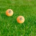 М'ячі для настільного тенісу Gewo AWR Outdoor 40+ orange 6шт, код: 931308-SVA