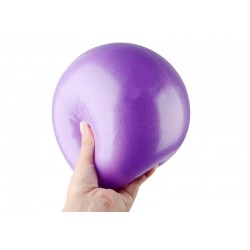 М"яч для пілатес EasyFit 25 см фіолетовий, код: EF-1221-EF