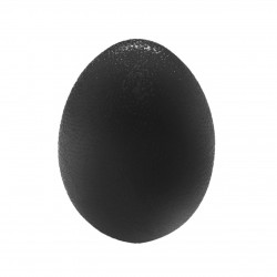Еспандер кистьовий SNS DQ-8211 Яйце, чорний, код: 00149-SNS
