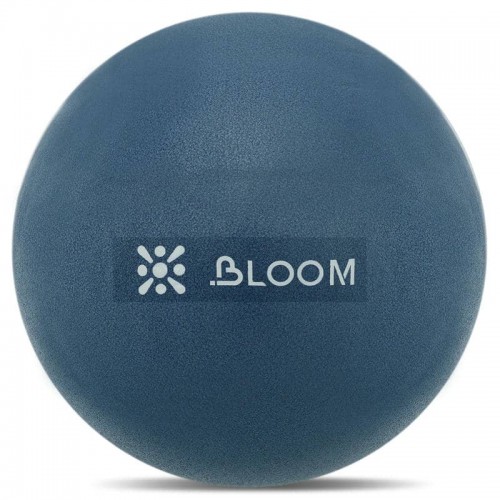 М"яч для пілатесу та йоги Mini Pilates Ball Bloom 30 см, синій, код: LB7000-30_BL