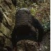 Рюкзак тактичний Highlander Harrier 35L Ranger Green (TT211-RG), код: 931009-SVA
