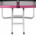 Батут із зовнішньою сіткою 4Fizjo Classic 10FT 312 см Black/Pink, код: P-5907739314567