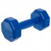 Гантелі для фітнесу пластикові Champion 2х1,5кг, синій, код: TA-9820-1_5_BL Гантелі для фітнесу пластикові Champion 2х1,5кг, синій, код: TA-9820-1_5_BL