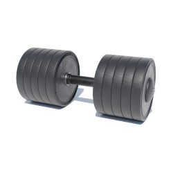 Гантель Brustyle 1х50 кг, код: TC126-50 PL