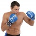 Боксерські рукавиці Twins PVC 12 унцій, синій, код: BGVL-10_12BL