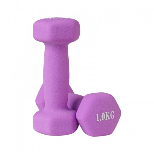 Гантелі для фітнесу неопренові FitGo 2x1 кг, бузковий, код: 80024-N1U-WS Гантелі для фітнесу неопренові FitGo 2x1 кг, бузковий, код: 80024-N1U-WS