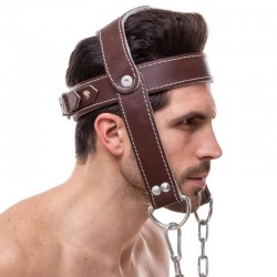 Упряж для тренування м"язів шиї Zelart коричневий, код: SB-165189-S52