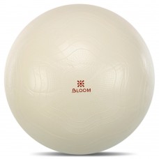 Фітбол м"яч для фітнесу сатин Bloom ø75см, коричневий, код: LB7051-75