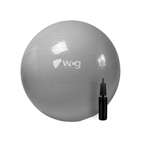 М"яч для фітнесу (фітбол) WCG 75 Anti-Burst 250кг + насос, сірий, код: W-000-75-G-IF
