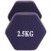 Гантелі FitGo 1х2,5 кг зелений, код: TA-0001-2_5_G