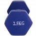 Гантелі FitGo 1х2,5 кг зелений, код: TA-0001-2_5_G