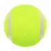 М"ячі для великого тенісу PlayGame Oni Queen 3шт, салатовий, код: BT-8677-S52