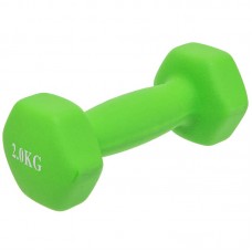 Гантелі FitGo 1х2 кг салатовий, код: TA-0001-2_LG