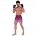 Шорти для тайського боксу та кікбоксингу Fairtex L Black/Wine, код: BS1904_LBKW