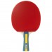 Набір для настільного тенісу Joola Team Master Pro 2 Bats 3 Balls (52001-1), код: 931833-SVA