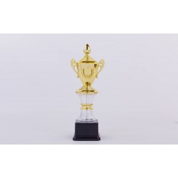 Кубок спортивний з ручками, кришкою і місцем під жетон PlayGame Glory 31 см, код: C-K078A