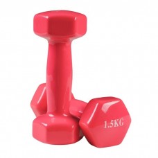 Гантелі для фітнесу вінілові FitGo 2х1,5 кг, рожевий, код: 80022-V15P-WS
