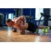 Комплект гирь RN Sport 40 кг (4кг, 8кг, 12 кг, 16 кг), код: Gir40