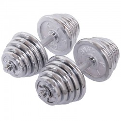 Гантелі розбірні хромовані BioGym 2x20кг, код: TA-80002-40-S52 Гантелі розбірні хромовані BioGym 2x20кг, код: TA-80002-40-S52