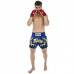 Шорти для тайського боксу та кікбоксингу Fairtex L синій, код: BS0664_LBL