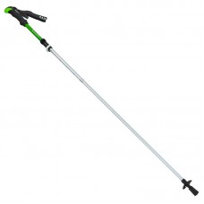 Палка трекінговий для скандинавської ходьби Camping Raico зелений, код: TY-0467_G