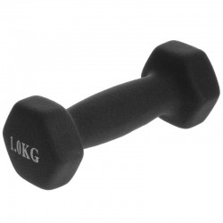 Гантелі для фітнесу FitGo Веселка з неопреновим покриттям 1x1 кг чорний, код: TA-0001-1_BK-S52