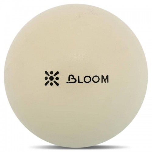 М"яч для пілатесу та йоги Mini Pilates Ball Bloom 30 см, білий, код: LB7000-30_W