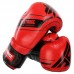 Боксерські рукавиці шкіряні Fistrage 12oz, червоний, код: VL-4275_12R