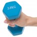 Гантелі FitGo 1х2 кг блакитний, код: TA-0001-2_N