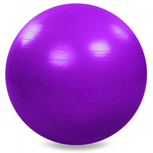 М"яч для фітнесу FitGo 650 мм темно-фіолетовий, код: FI-1980-65_BGV