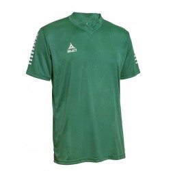 Футболка для матчів чоловіча Select Pisa Player Shirt s/s L, зелений, код: 5703543227952