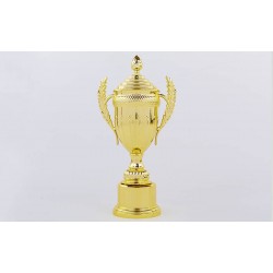 Кубок спортивний з ручками і кришкою PlayGame Ambition 43,5 см, код: C-899-2A