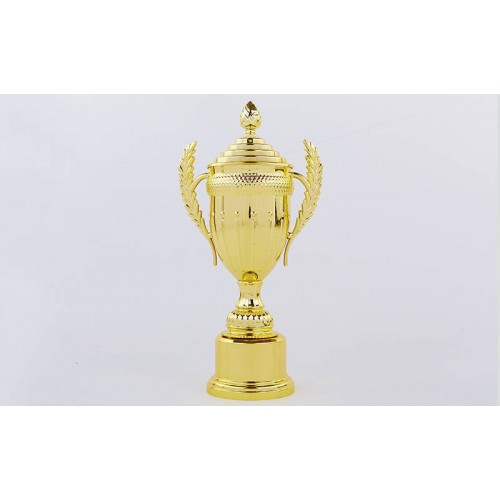 Кубок спортивний з ручками і кришкою PlayGame Ambition 43,5 см, код: C-899-2A