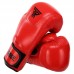 Боксерські рукавиці шкіряні Fistrage 12oz, червоний, код: VL-4295_12R