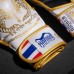 Рукавиці для ММА Phantom Muay Thai White Gold S/M, код: PHMMAG2706-SM