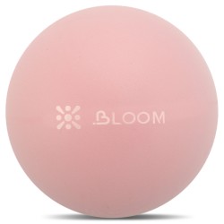 М"яч для пілатесу та йоги Mini Pilates Ball Bloom 20 см, рожевий, код: LB7000-20_P
