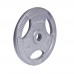 Диск чавунний inSPORTline Hamerton 15 кг, код: 12712-IN