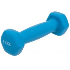 Гантель для фітнесу FitGo Веселка 1x0,5 кг, блакитний, код: TA-0001-0_5_N-S52 Гантель для фітнесу FitGo Веселка 1x0,5 кг, блакитний, код: TA-0001-0_5_N-S52