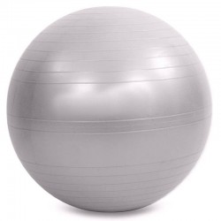 М"яч для фітнесу FitGo 650 мм, сірий, код: FI-1983-65_GR
