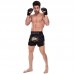 Шорти для тайського боксу та кікбоксингу Fairtex M Black/Yeloow, код: BS1903_MBKY