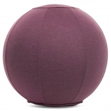 М"яч для фітнесу (фітбол) з чохлом FitGo 650 мм фіолетовий, код: FI-1466_V
